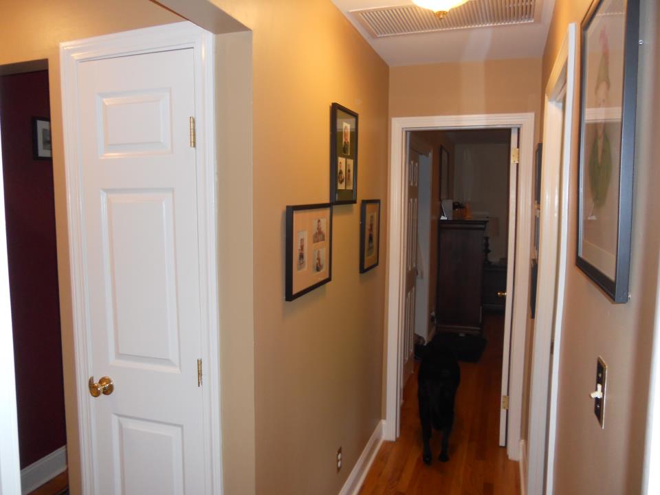 hallwaypaint a freshly painted hallway in a home
