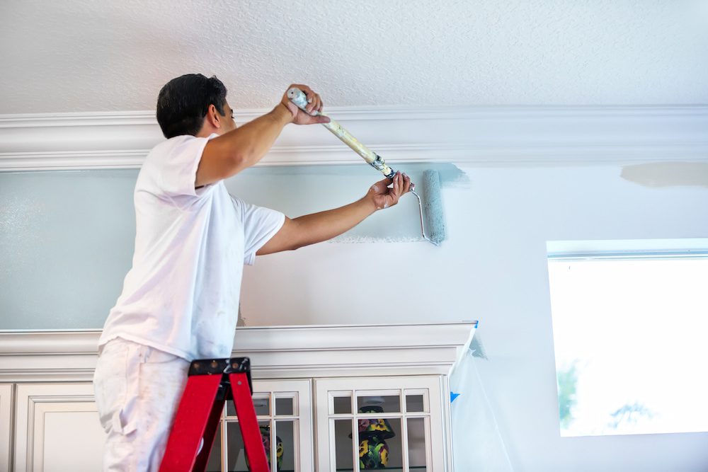 housepainter A man painting a wall