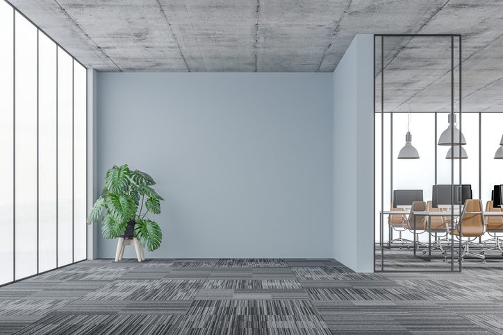 Large office interior with a large potted plant (monstera) in a lounge corner in front of a large empty light blue wall background with copy space. Wordesks, lighting and computer equipment and windows in background behind glass door on carpet floor. 3D rendered image.